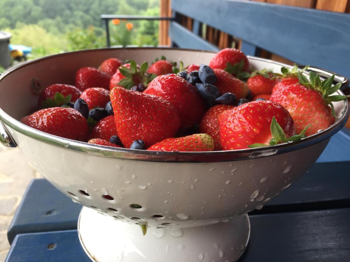 Rose Hip Hill Farm Bed and Breakfast Valea Tirnei Exteriör bild