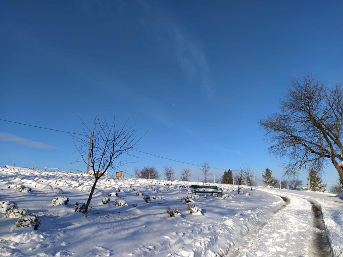 Rose Hip Hill Farm Bed and Breakfast Valea Tirnei Exteriör bild