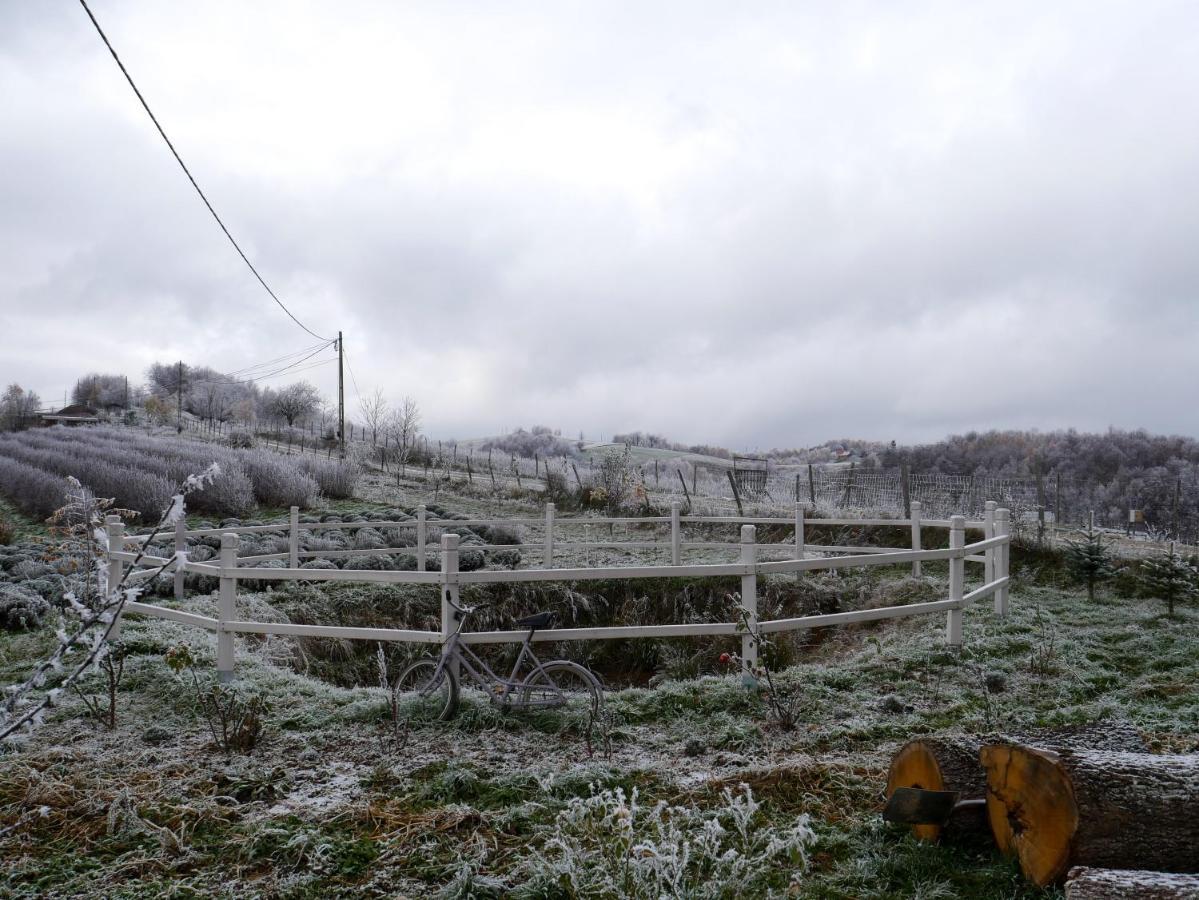Rose Hip Hill Farm Bed and Breakfast Valea Tirnei Exteriör bild