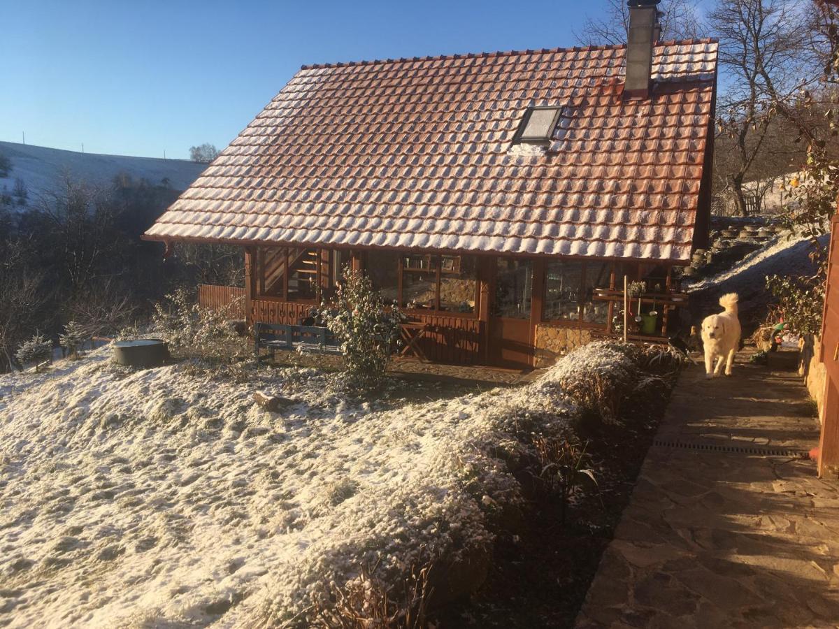 Rose Hip Hill Farm Bed and Breakfast Valea Tirnei Exteriör bild